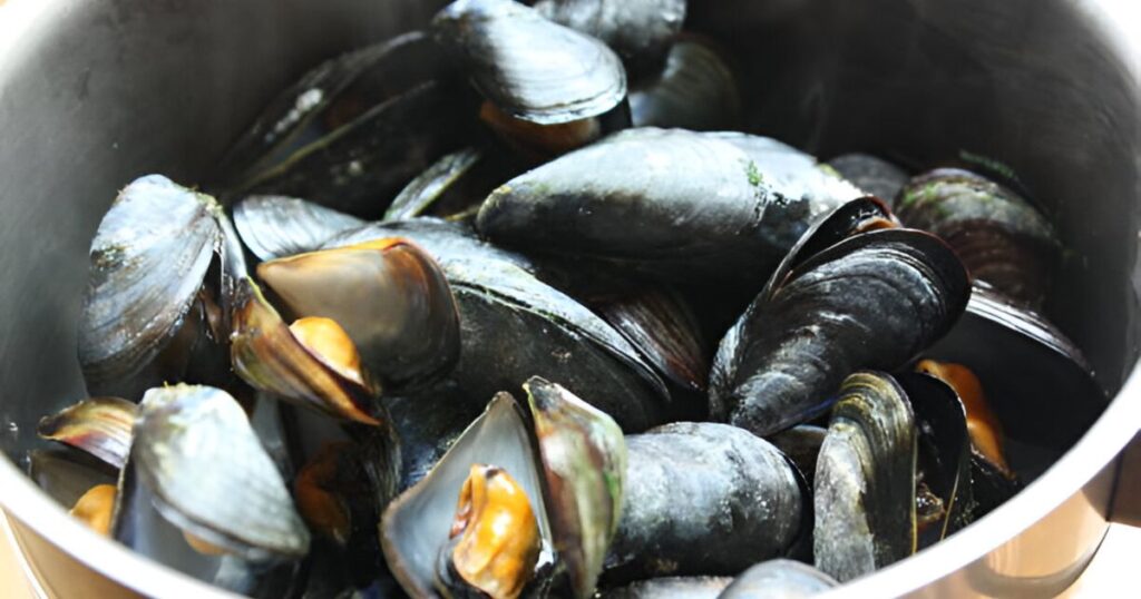 Mussels